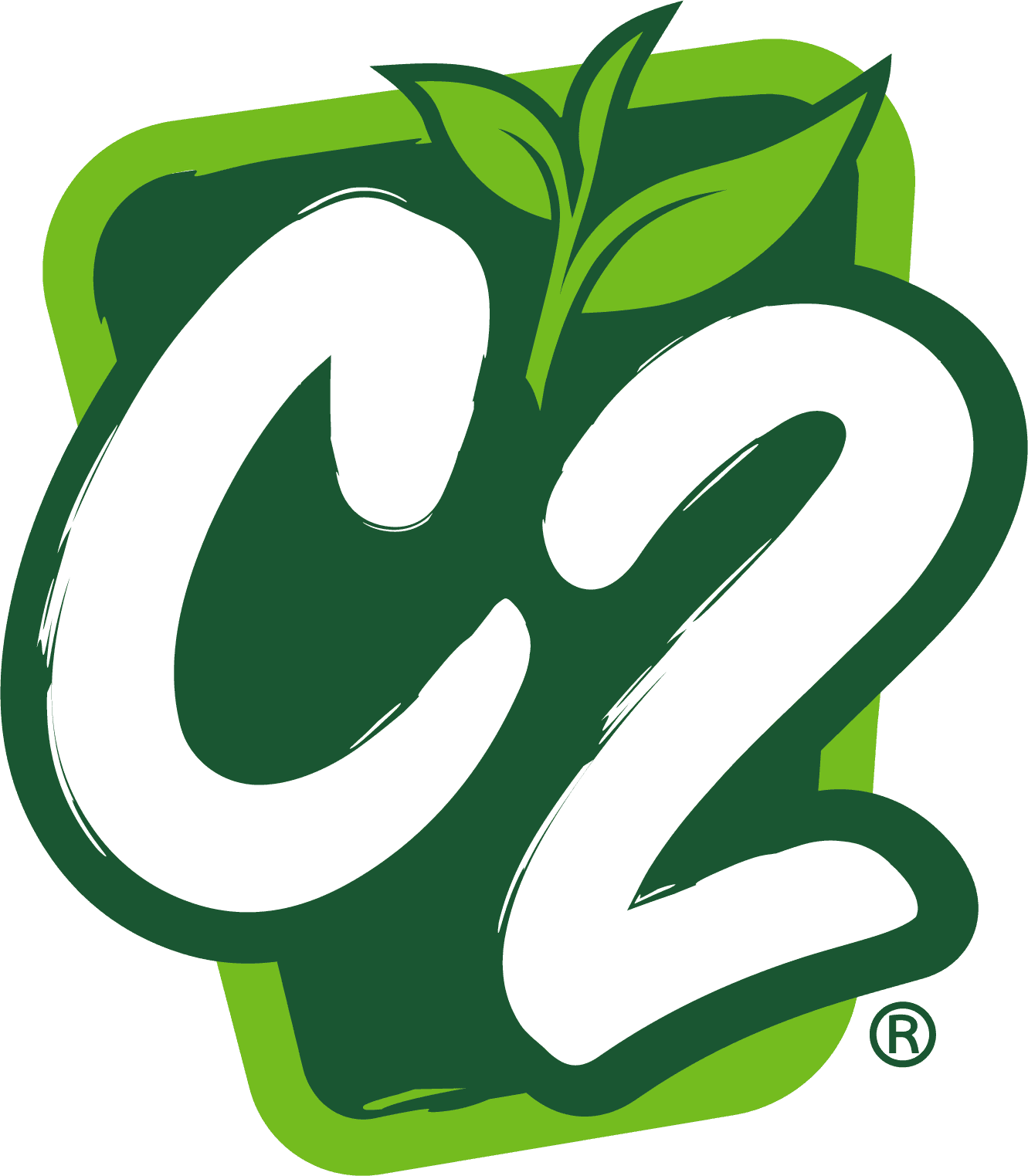 C2